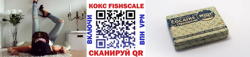купить   Велиж  Кокаин FishScale 