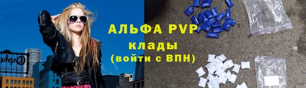 стафф Богданович