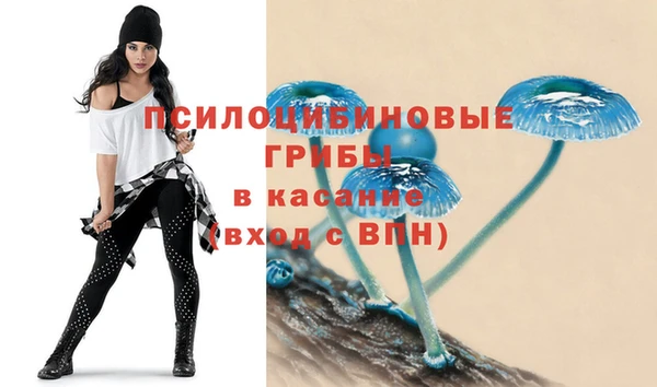 стафф Богданович