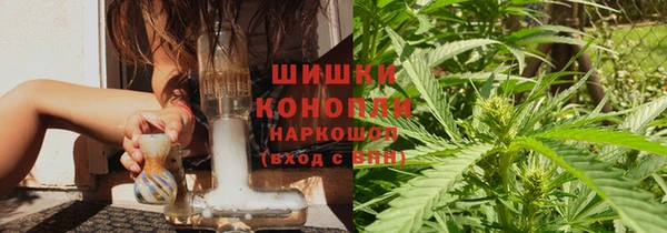 стафф Богданович