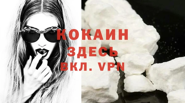 индика Бородино