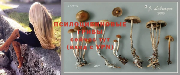 каннабис Белокуриха